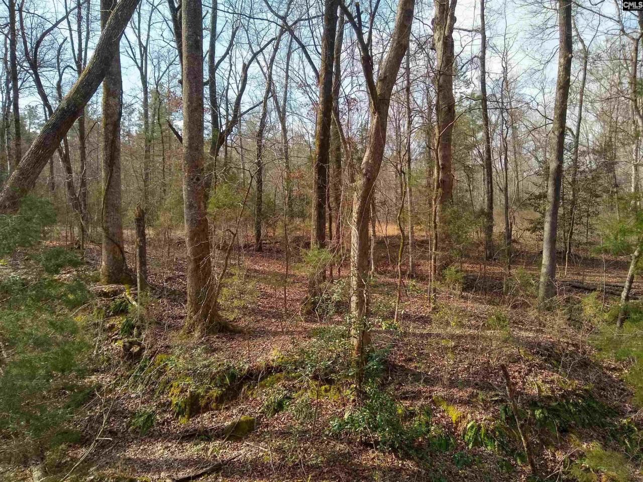 0 321 Highway Photo 11