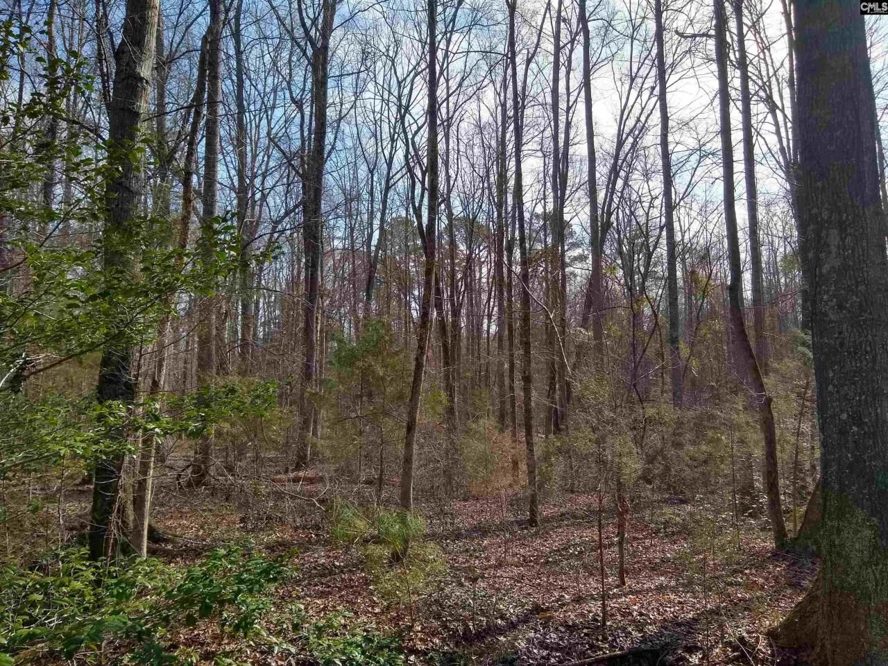 0 321 Highway Photo 13