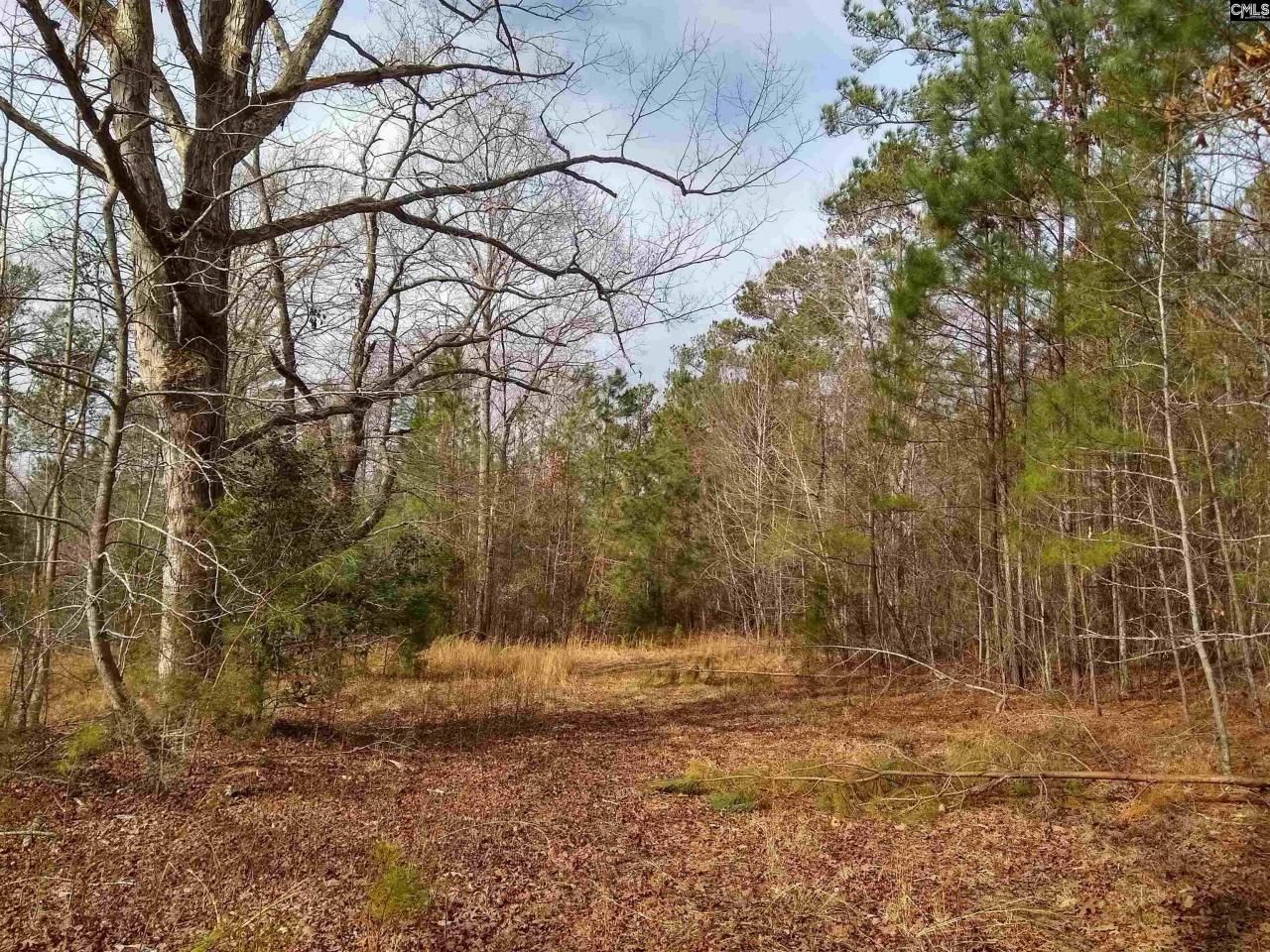 0 321 Highway Photo 15