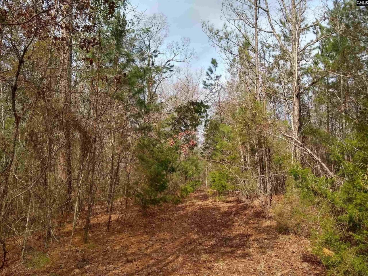 0 321 Highway Photo 16