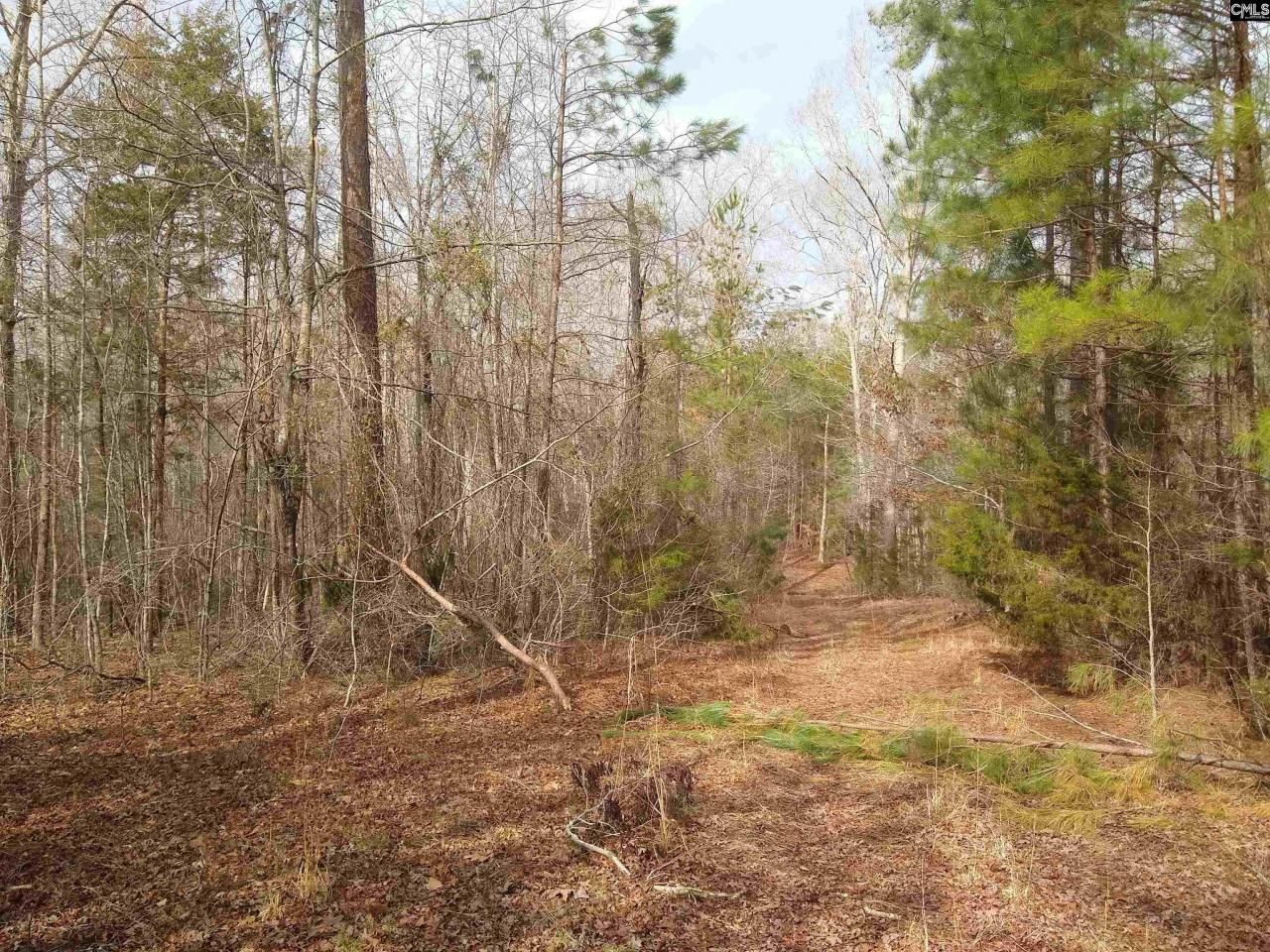 0 321 Highway Photo 17