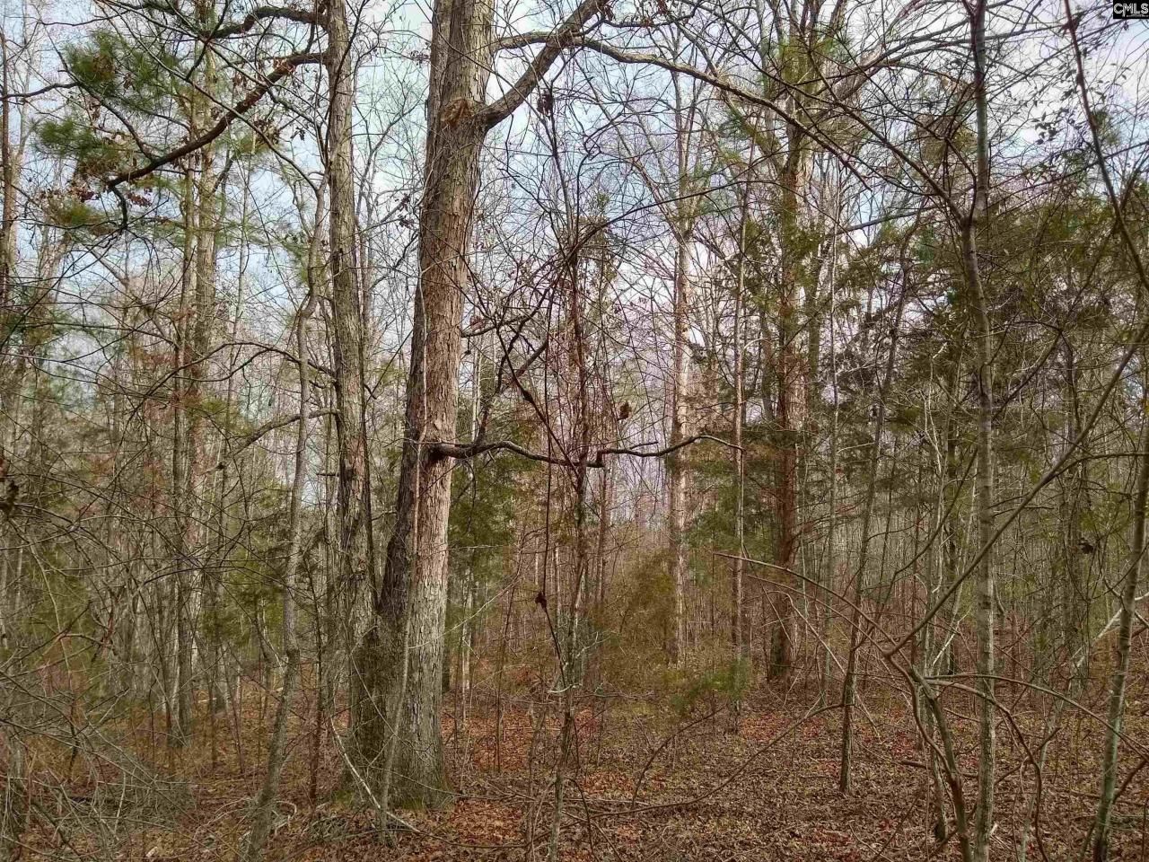 0 321 Highway Photo 18