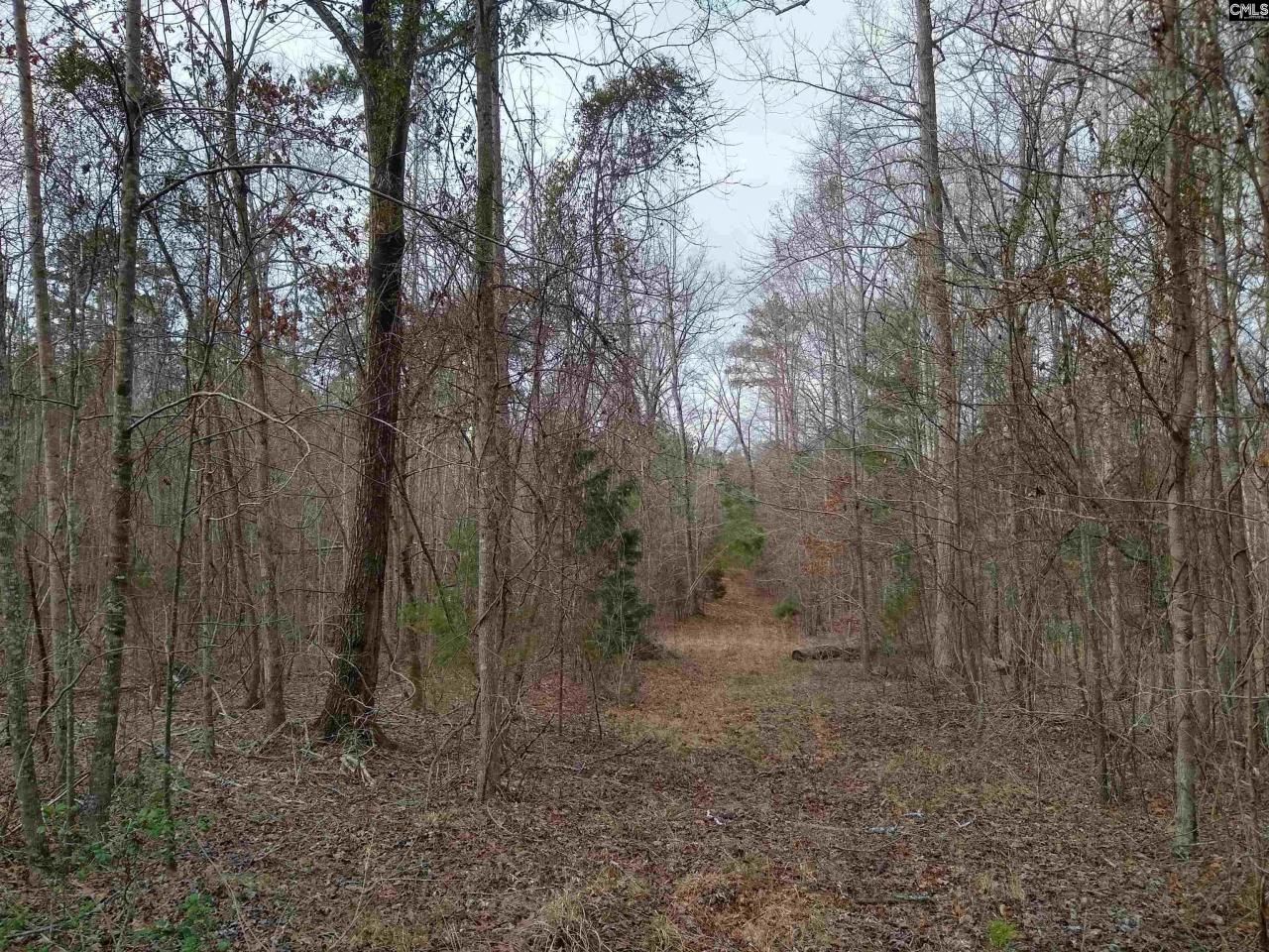 0 321 Highway Photo 19