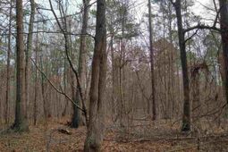 0 321 Highway photo 4