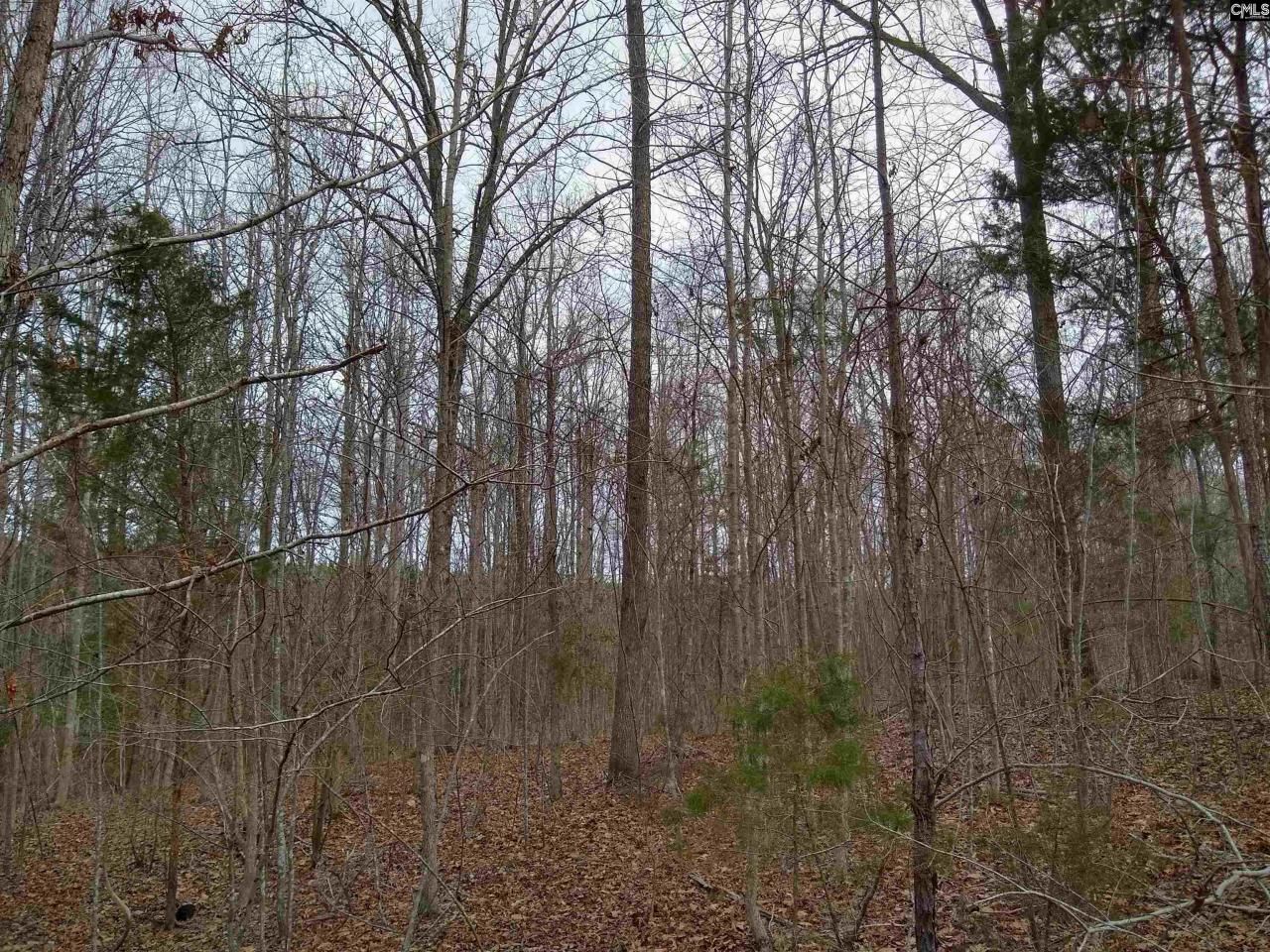 0 321 Highway Photo 20