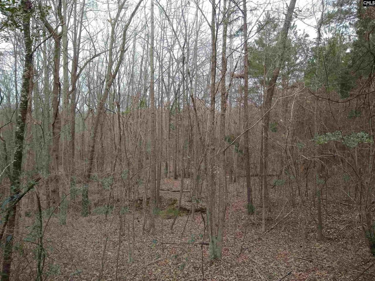 0 321 Highway Photo 25