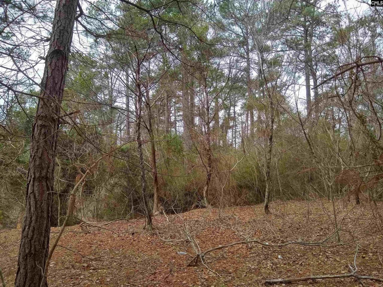 0 321 Highway Photo 26