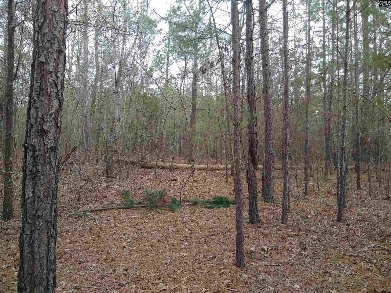 0 321 Highway Photo 28