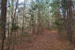 0 321 Highway photo 4