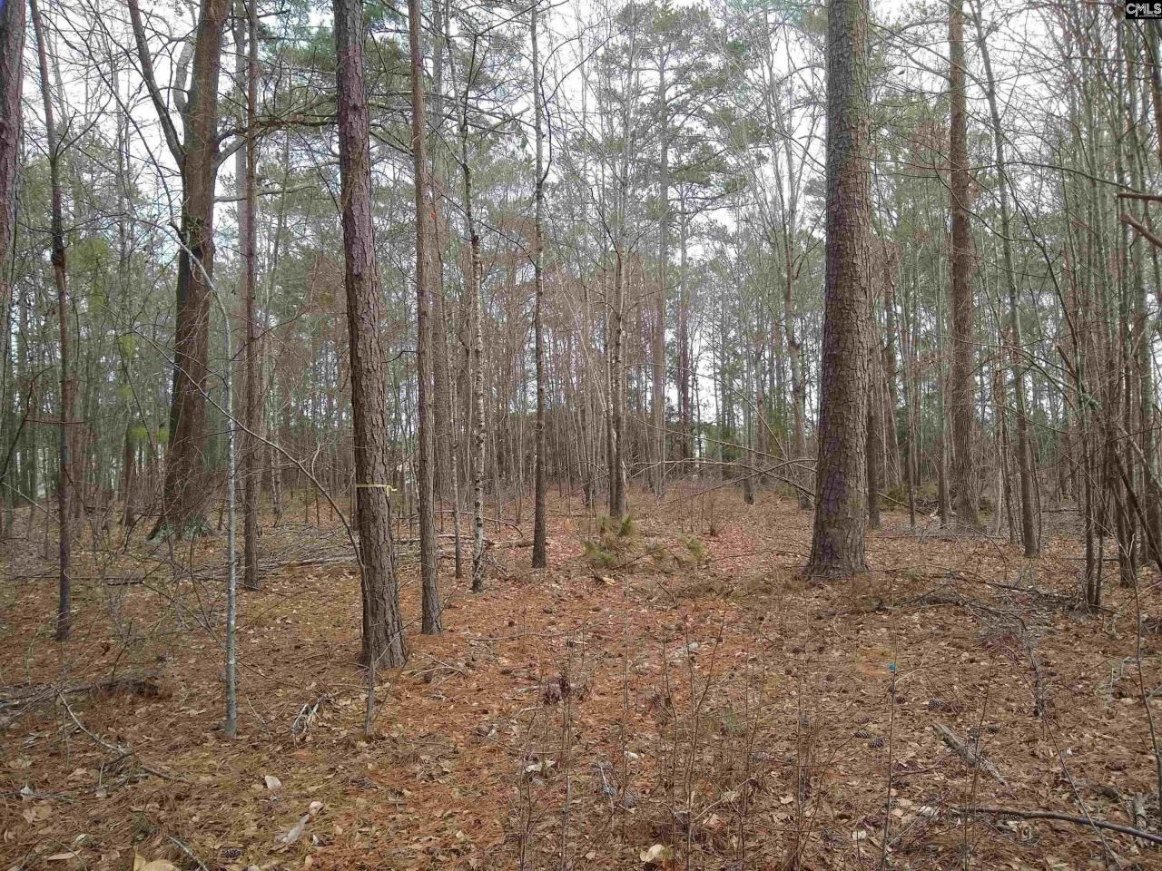 0 321 Highway Photo 31