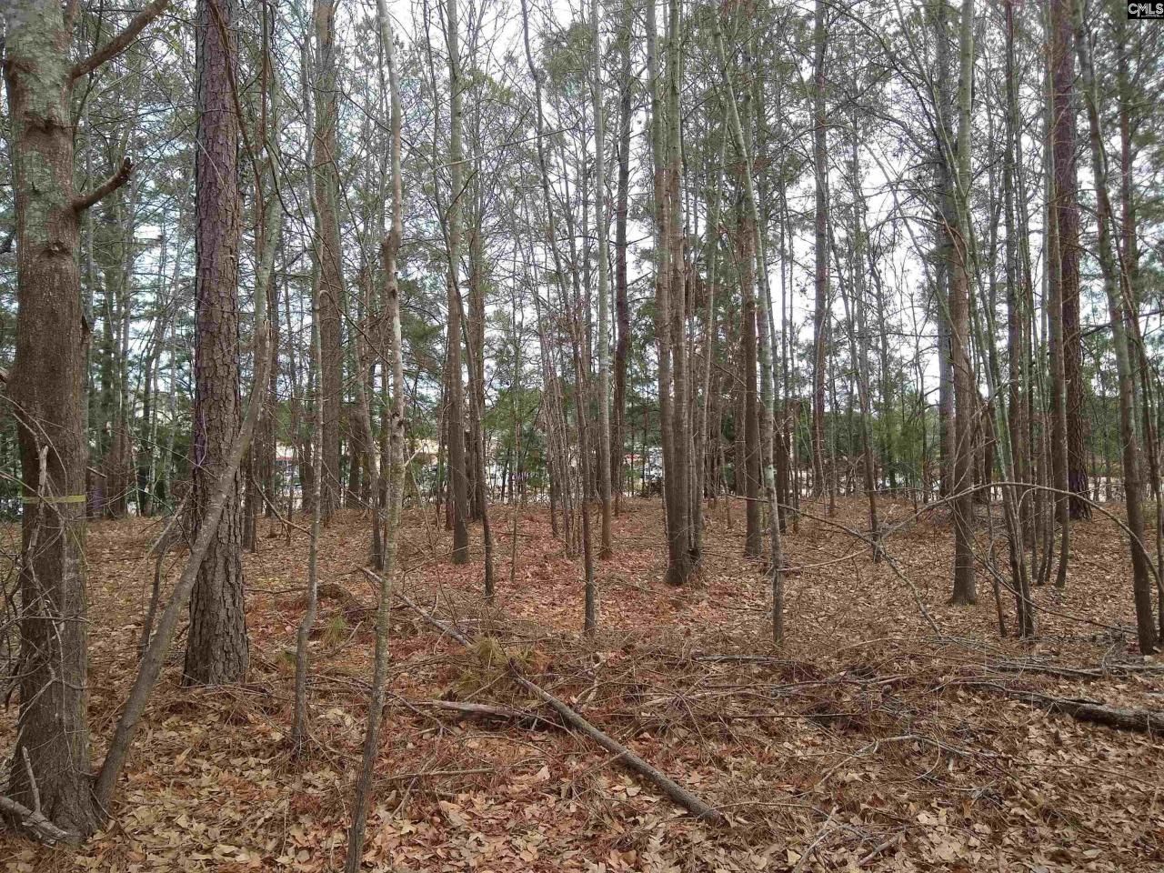 0 321 Highway Photo 32