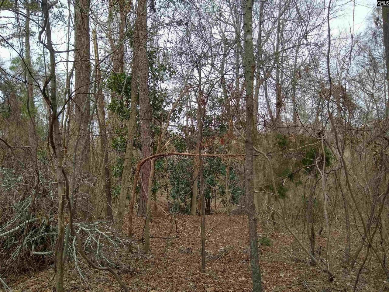 0 321 Highway Photo 33