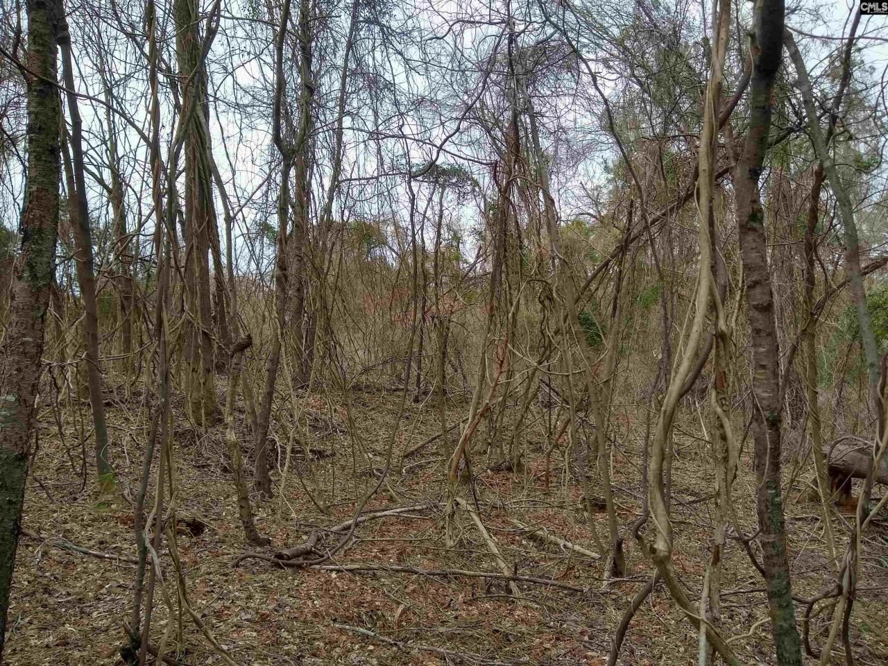 0 321 Highway Photo 34