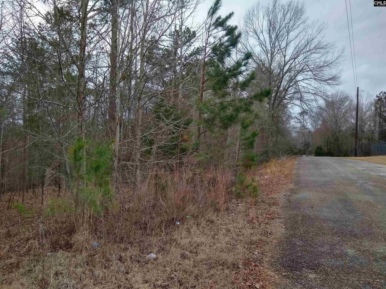 0 321 Highway Photo 38