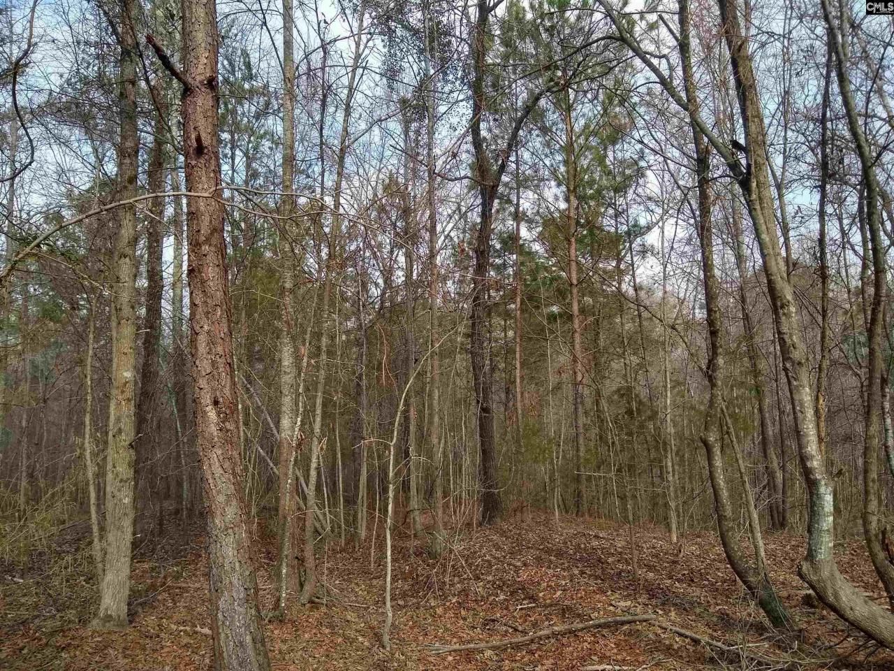 0 321 Highway Photo 4