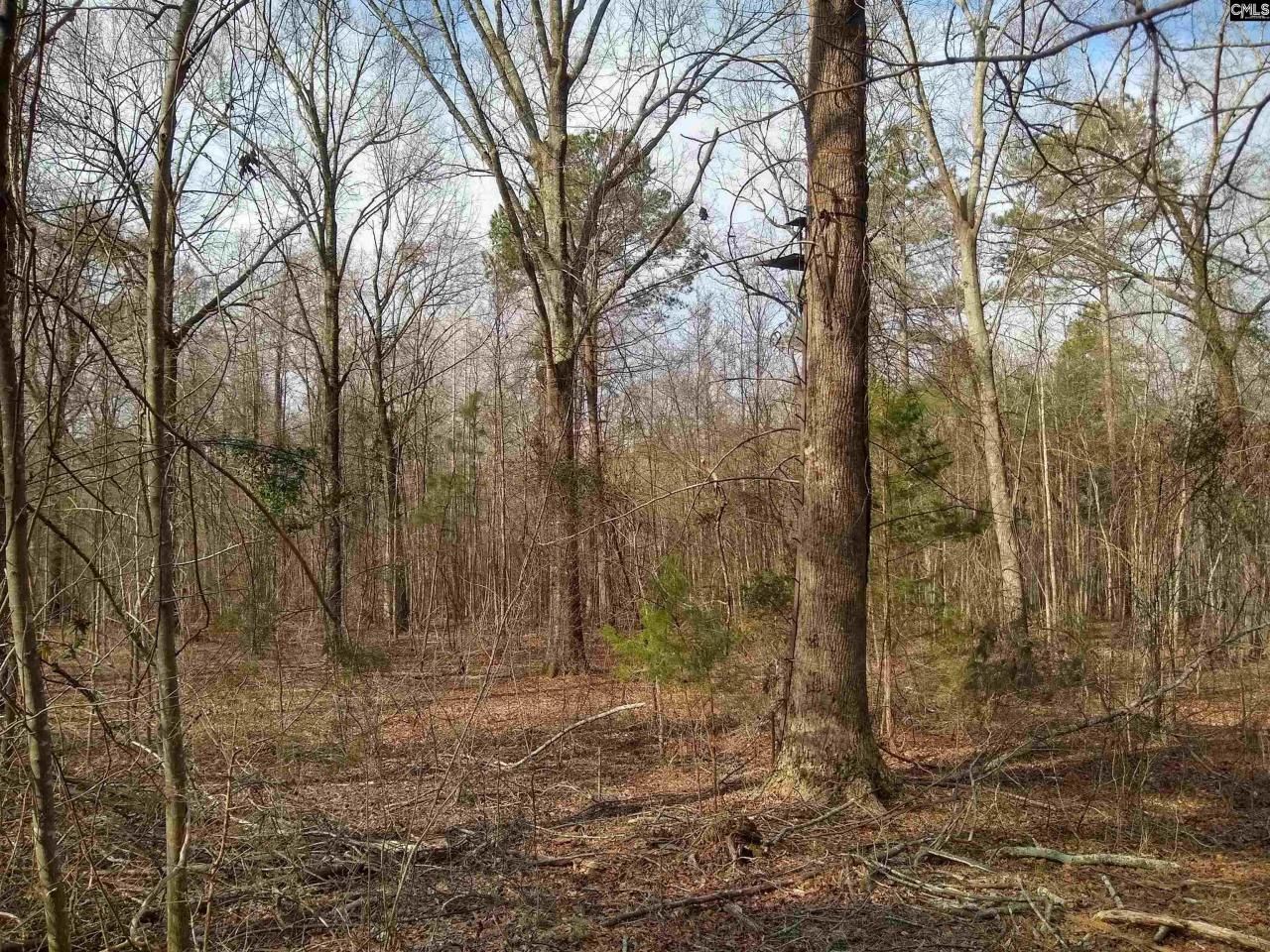 0 321 Highway Photo 5