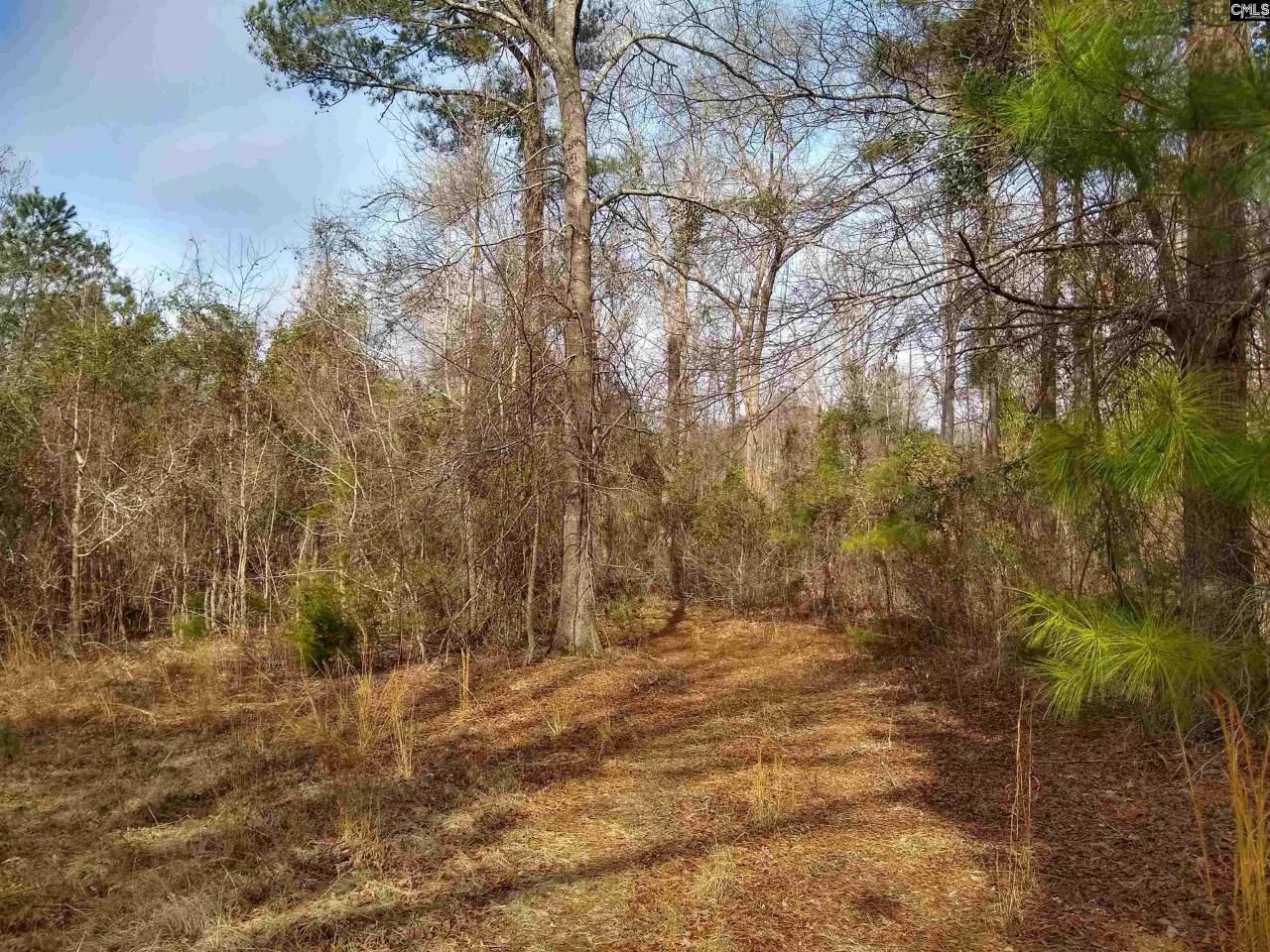 0 321 Highway Photo 8