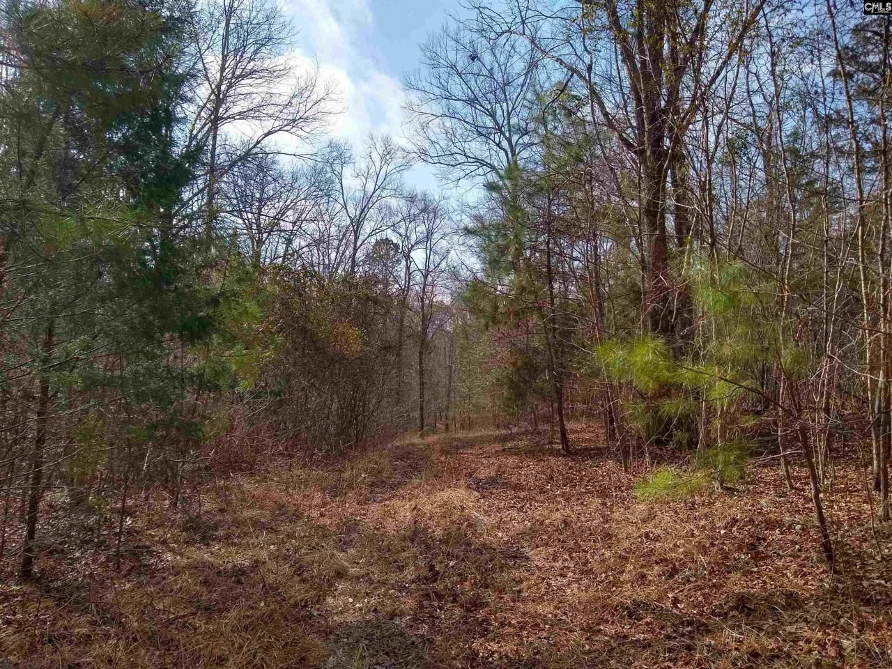 0 321 Highway Photo 9