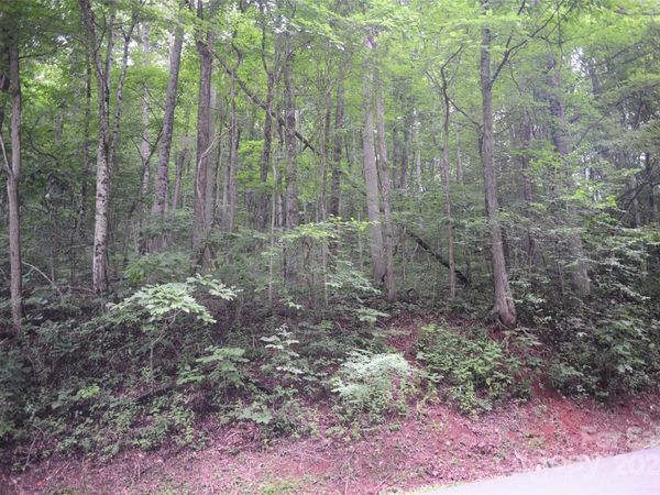 132 Ironwood Lane, Black Mountain, NC 28711