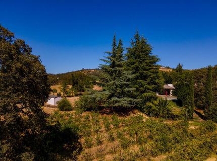 1000 Aqua Haven Ct, El Dorado Hills, CA 95762 Photo