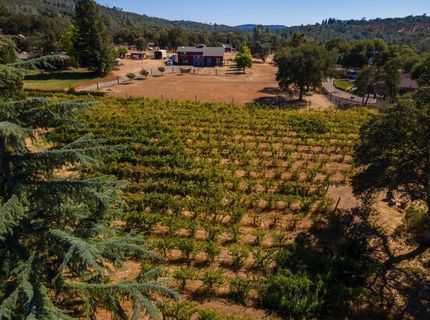 1000 Aqua Haven Ct, El Dorado Hills, CA 95762 Photo
