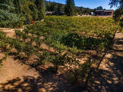 1000 Aqua Haven Ct, El Dorado Hills, CA 95762 Photo