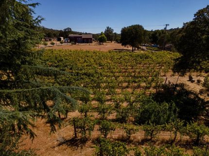 1000 Aqua Haven Ct, El Dorado Hills, CA 95762 Photo