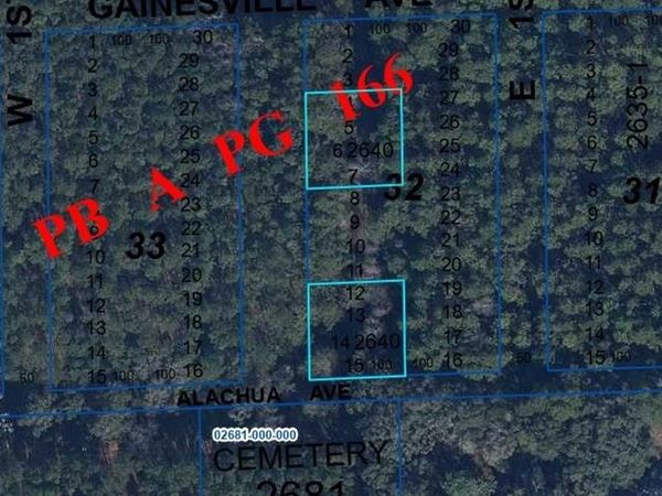 GAINESVILLE AVE, NEWBERRY, FL 32669