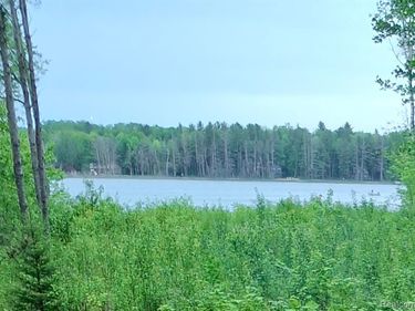 Land 99 Breezewood Drive, Mancelona Twp, MI 49659