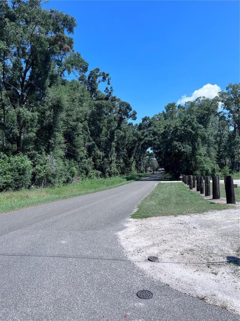 00 NW 90th Court, Fanning Springs, FL 32693 Photo