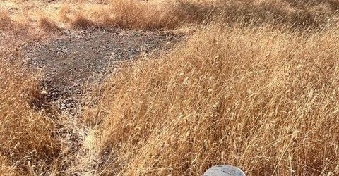 13669 Appaloosa Ct, Penn Valley, CA 95946 Photo