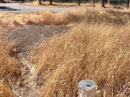 13669 Appaloosa Ct, Penn Valley, CA 95946 Photo