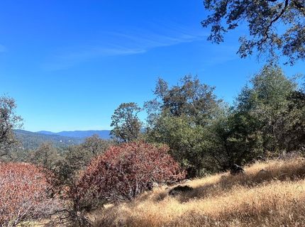 13669 Appaloosa Ct, Penn Valley, CA 95946 Photo