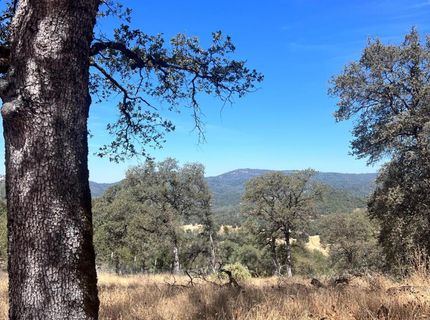 13669 Appaloosa Ct, Penn Valley, CA 95946 Photo