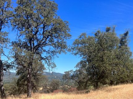 13669 Appaloosa Ct, Penn Valley, CA 95946 Photo