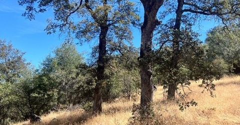 13669 Appaloosa Ct, Penn Valley, CA 95946 Photo