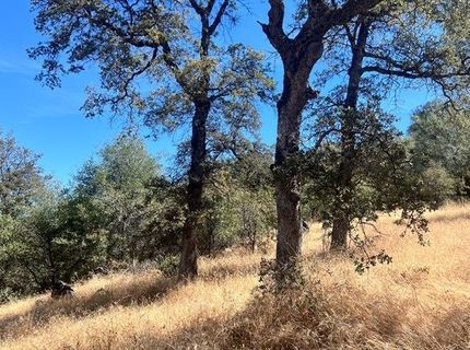 13669 Appaloosa Ct, Penn Valley, CA 95946 Photo