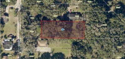 Yalaha Road, Yalaha, FL 34797 Photo