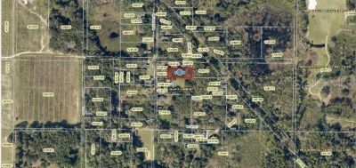 Yalaha Road, Yalaha, FL 34797 Photo