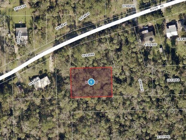 RIVER ROAD, ASTOR, FL 32102