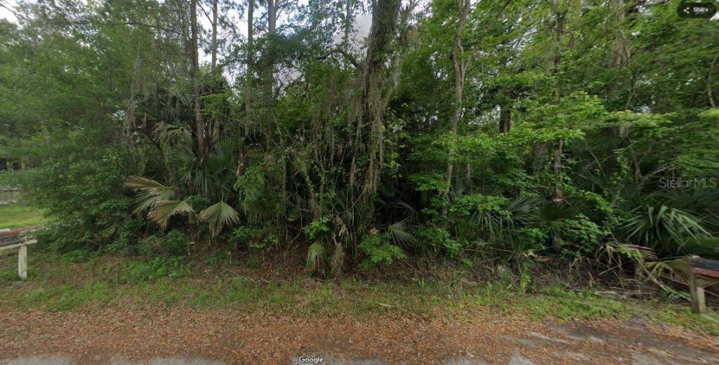 River Road, Astor, FL 32102 Photo