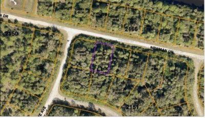 Newman Drive, North Port, FL 34288 Photo