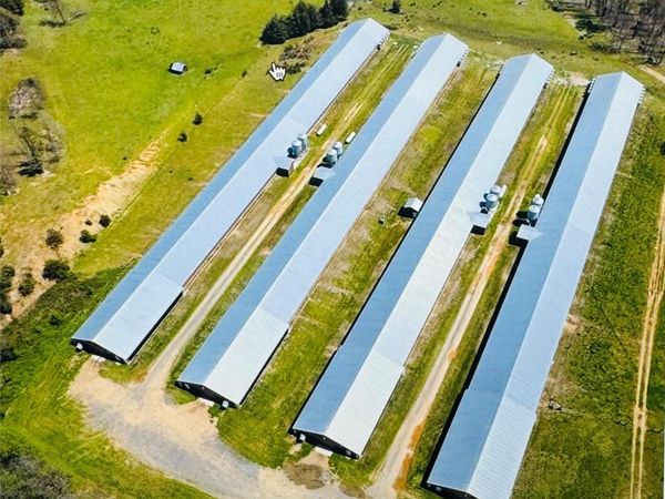 245 Ivy Road, Polkton, NC 28135