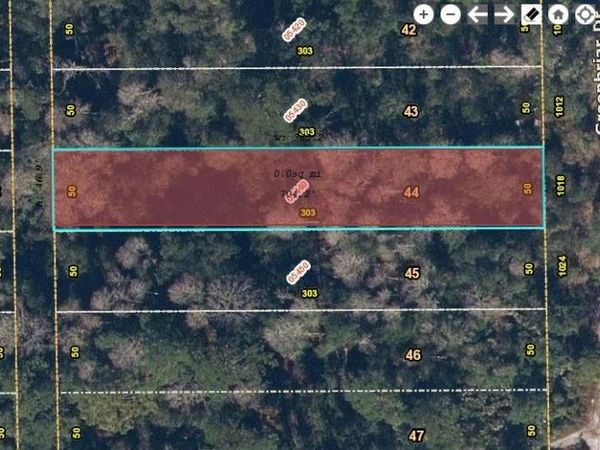 1018 GREENBRIAR DRIVE, CHRISTMAS, FL 32709