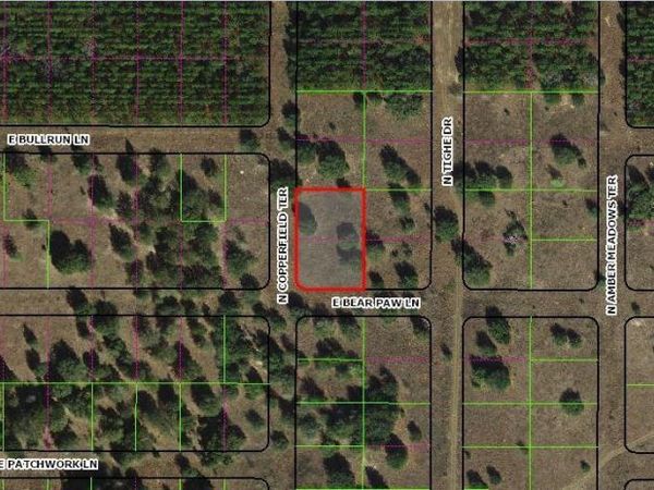 229 N COPPERFIELD TERRACE, INVERNESS, FL 34453
