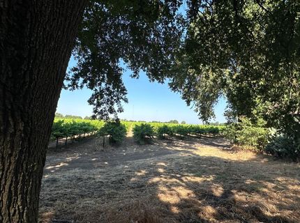 27925 Thornton Rd, Thornton, CA 95686 Photo