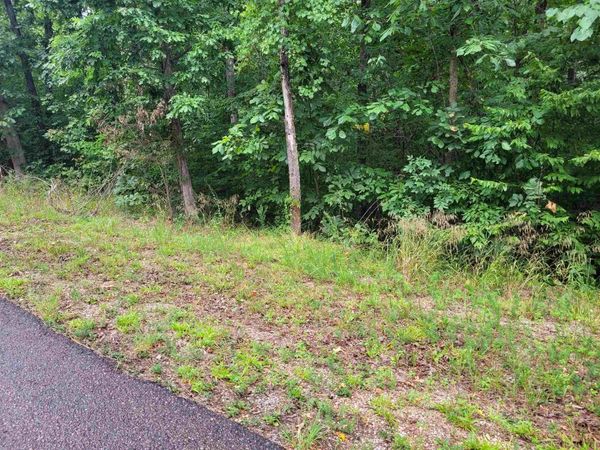 0 YEAGER LN, Counce, TN 38326