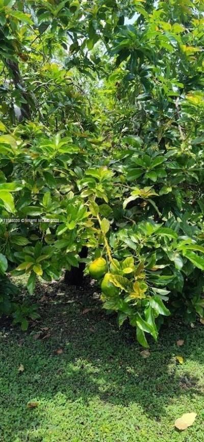 157th Ct SW 65th Terrace, Miami, FL 33193 Photo