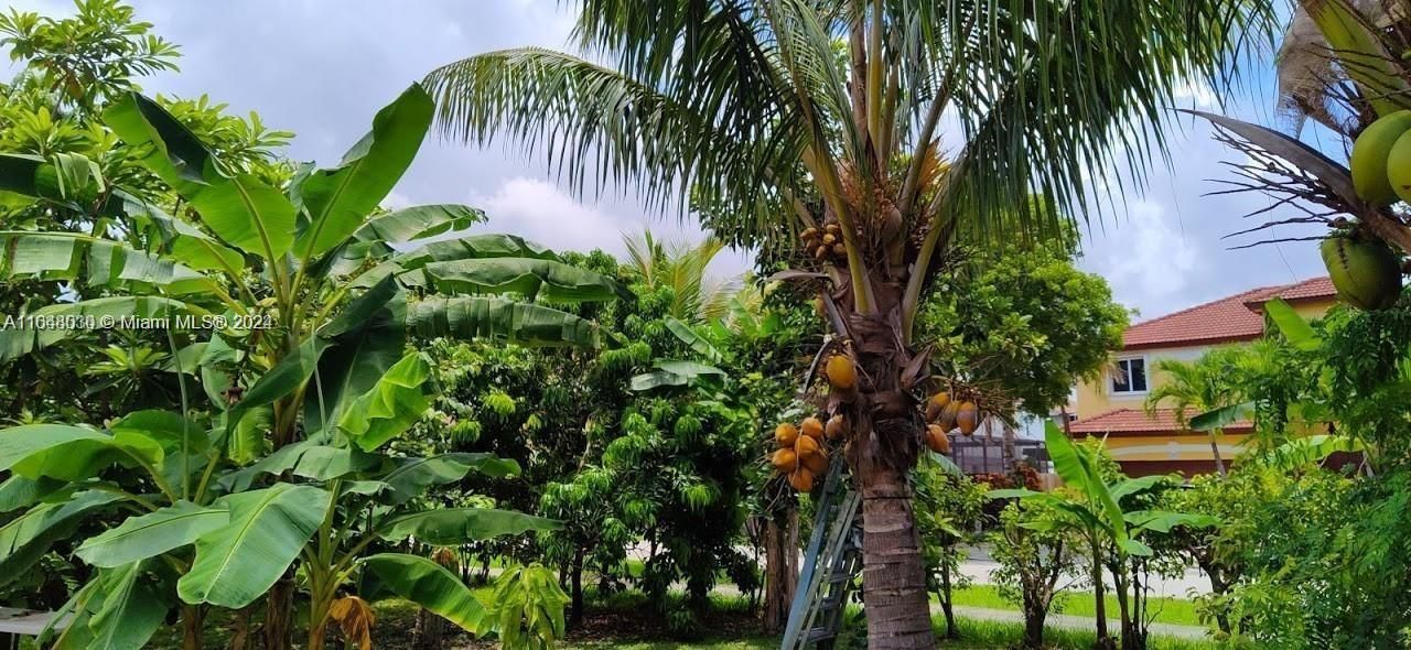 157th Ct SW 65th Terrace, Miami, FL 33193 Photo