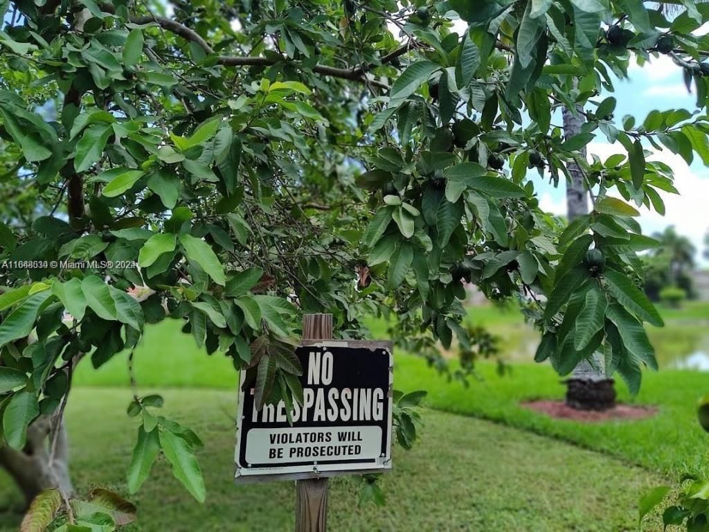 157th Ct SW 65th Terrace, Miami, FL 33193 Photo